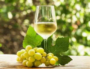 Expertos del vino